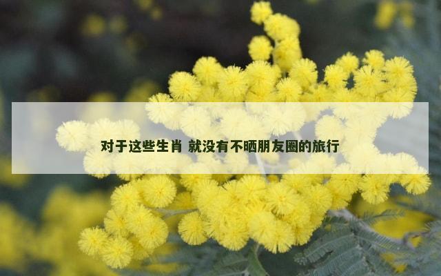 对于这些生肖 就没有不晒朋友圈的旅行