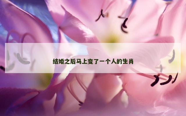 结婚之后马上变了一个人的生肖