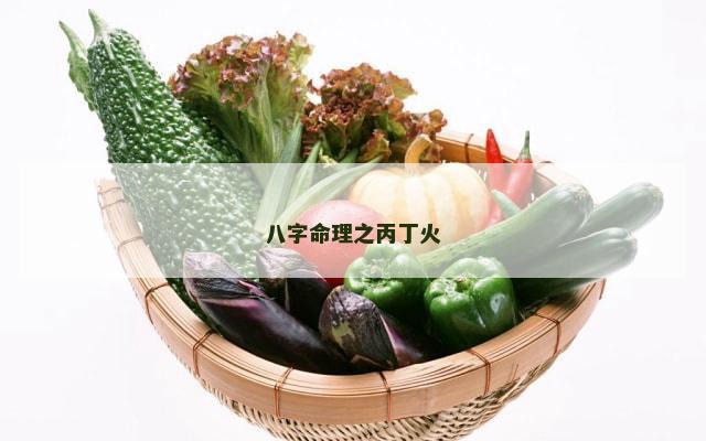 八字命理之丙丁火