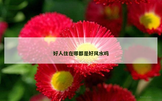 好人住在哪都是好风水吗