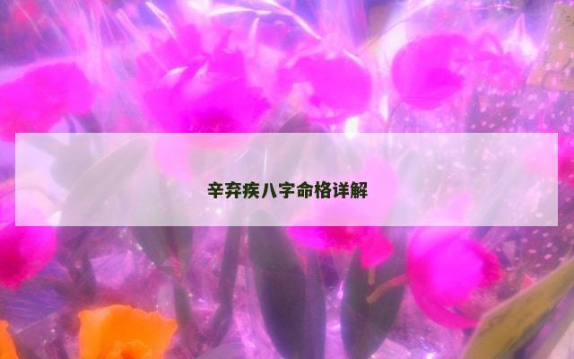 辛弃疾八字命格详解