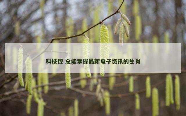 科技控 总能掌握最新电子资讯的生肖