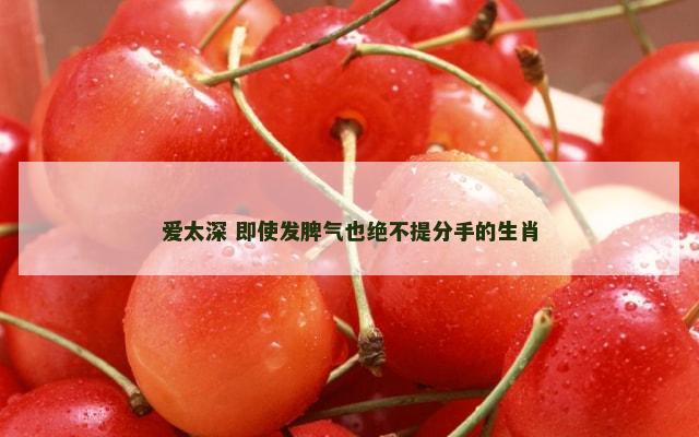 爱太深 即使发脾气也绝不提分手的生肖