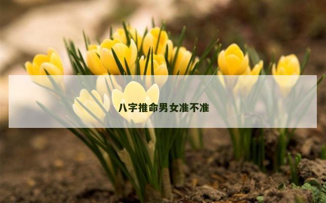 八字推命男女准不准