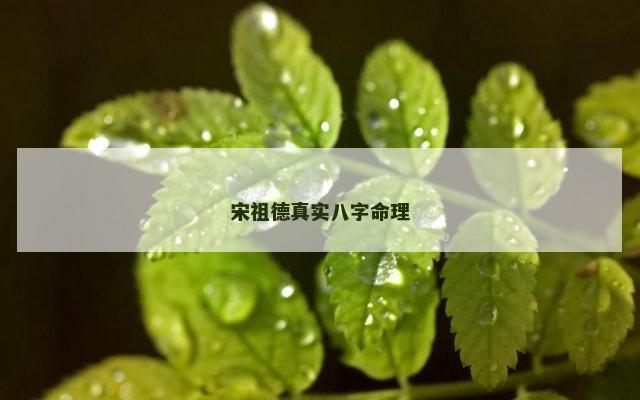 宋祖德真实八字命理