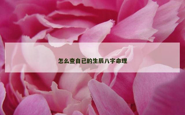 怎么查自已的生辰八字命理