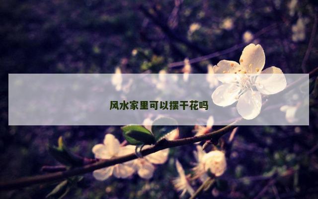 风水家里可以摆干花吗