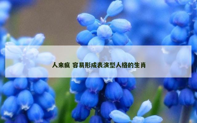 人来疯 容易形成表演型人格的生肖