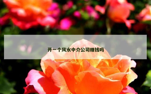 开一个风水中介公司赚钱吗