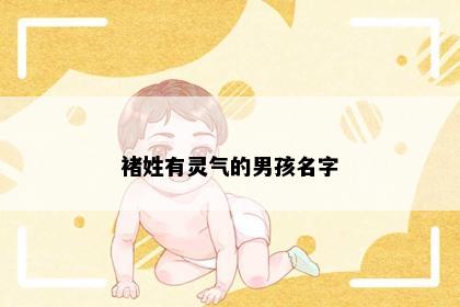 褚姓有灵气的男孩名字