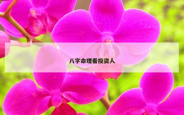 八字命理看投资人