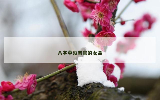 八字中没有官的女命