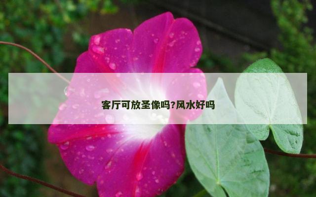 客厅可放圣像吗?风水好吗