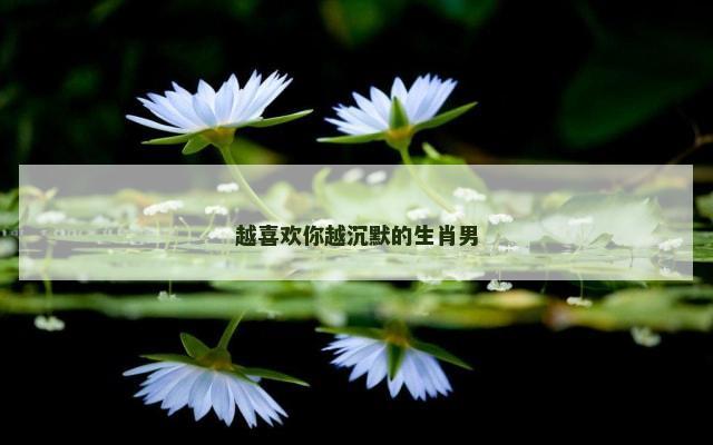 越喜欢你越沉默的生肖男