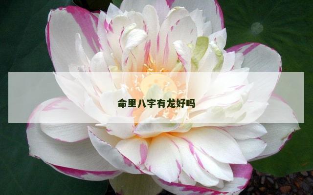 命里八字有龙好吗