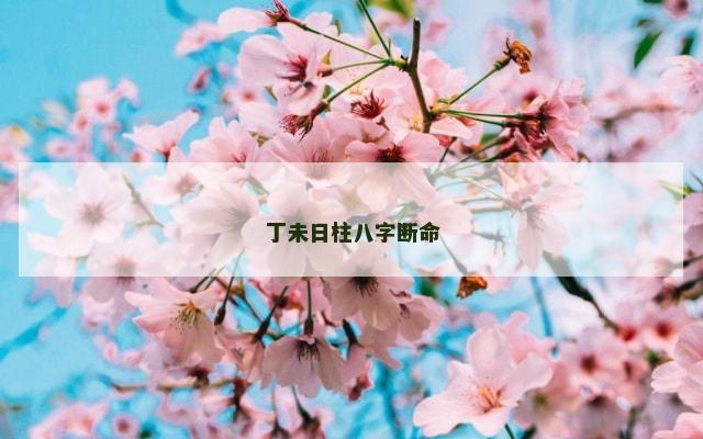 丁未日柱八字断命