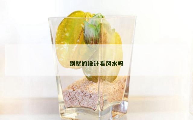 别墅的设计看风水吗