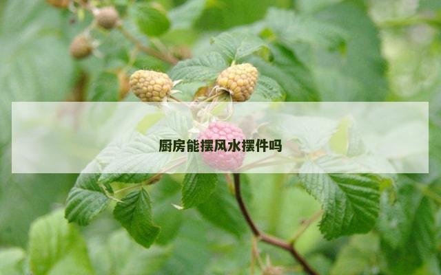 厨房能摆风水摆件吗