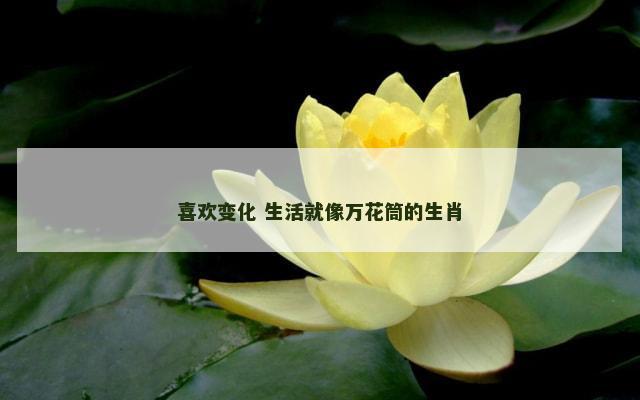 喜欢变化 生活就像万花筒的生肖