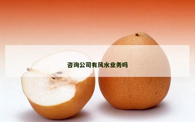咨询公司有风水业务吗
