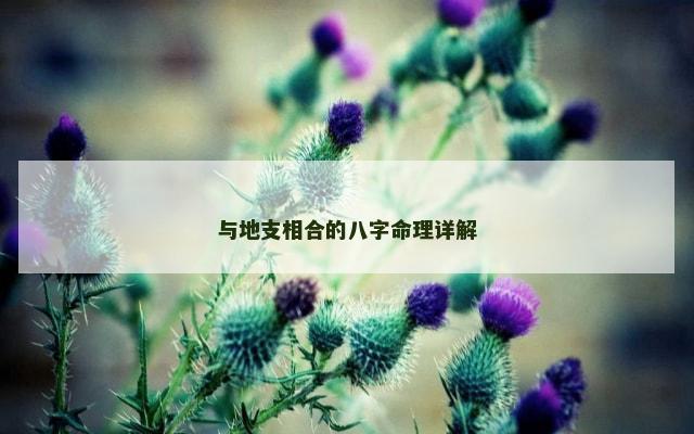 与地支相合的八字命理详解