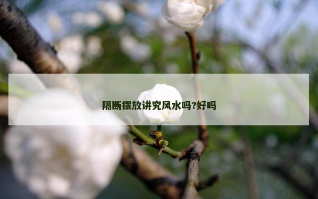 隔断摆放讲究风水吗?好吗