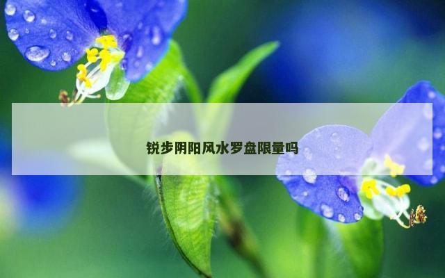 锐步阴阳风水罗盘限量吗