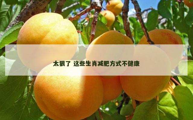 太狠了 这些生肖减肥方式不健康