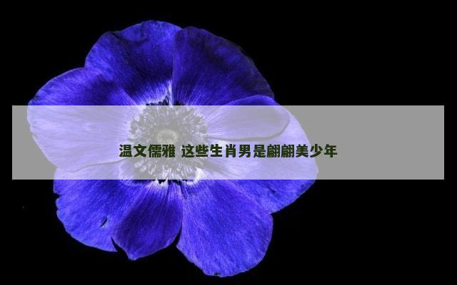温文儒雅 这些生肖男是翩翩美少年