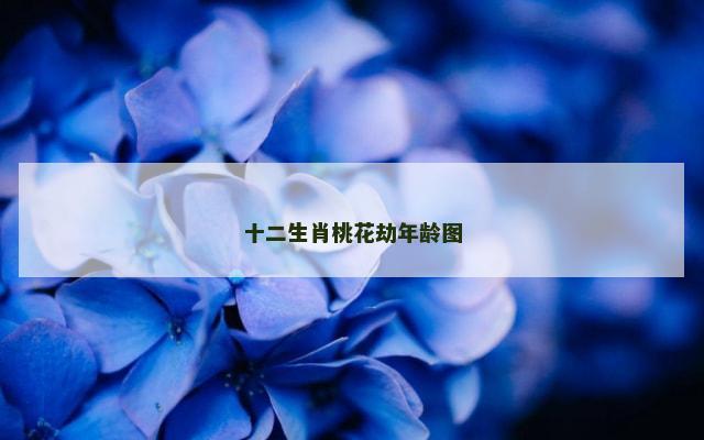 十二生肖桃花劫年龄图