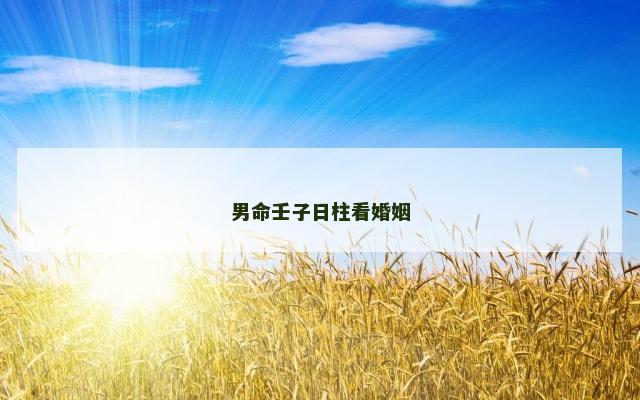 男命壬子日柱看婚姻