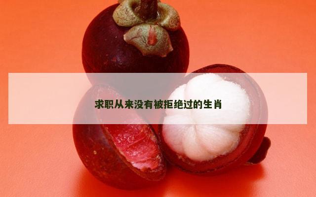 求职从来没有被拒绝过的生肖