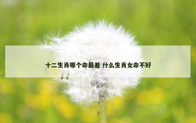 十二生肖哪个命最差 什么生肖女命不好
