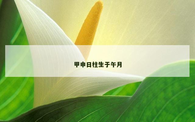 甲申日柱生于午月