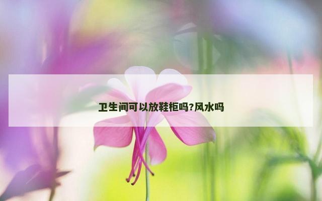 卫生间可以放鞋柜吗?风水吗