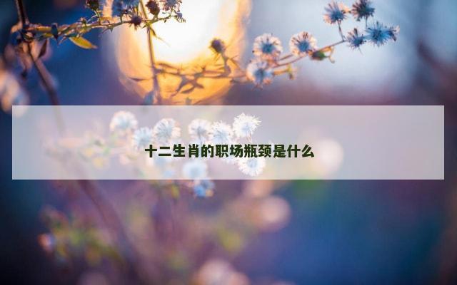 十二生肖的职场瓶颈是什么