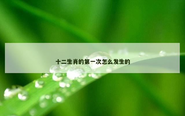 十二生肖的第一次怎么发生的