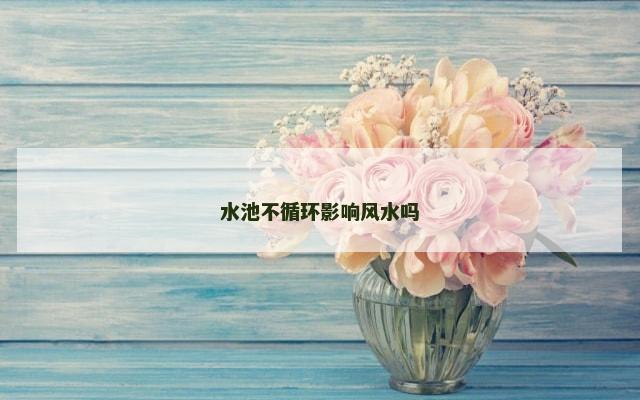 水池不循环影响风水吗