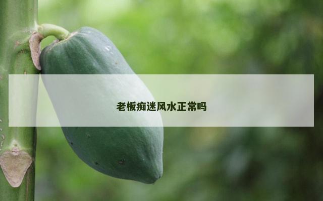 老板痴迷风水正常吗