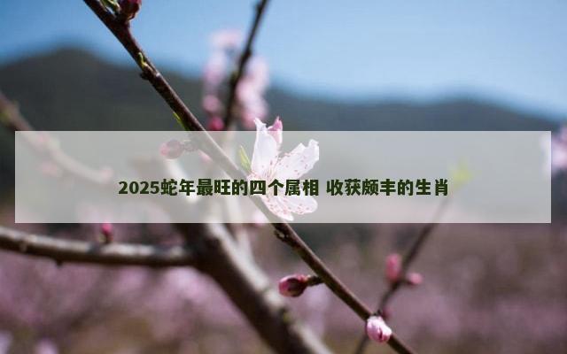 2025蛇年最旺的四个属相 收获颇丰的生肖