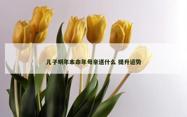 儿子明年本命年母亲送什么 提升运势