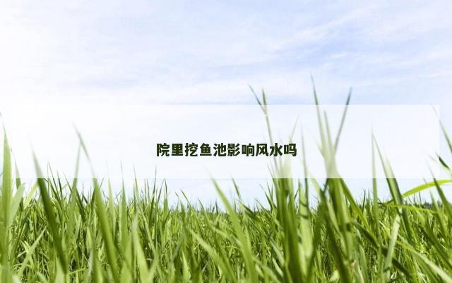 院里挖鱼池影响风水吗