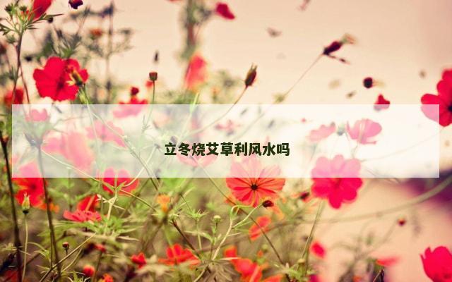 立冬烧艾草利风水吗