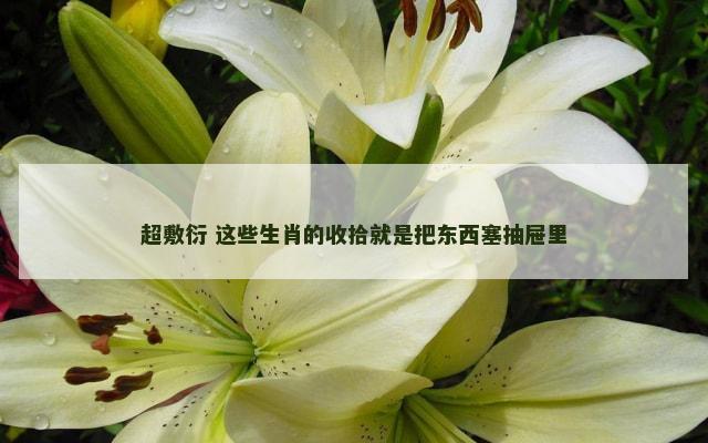 超敷衍 这些生肖的收拾就是把东西塞抽屉里