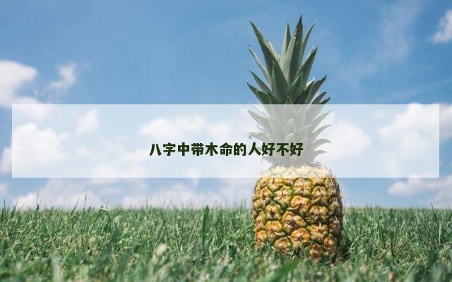 八字中带木命的人好不好
