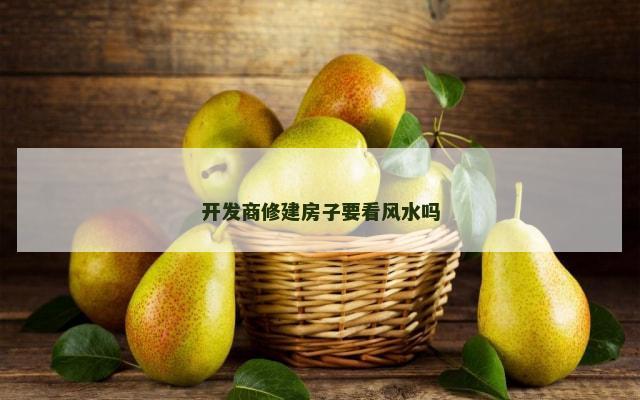 开发商修建房子要看风水吗