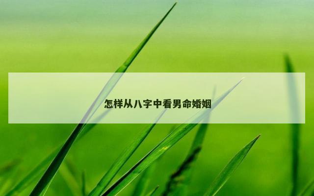 怎样从八字中看男命婚姻