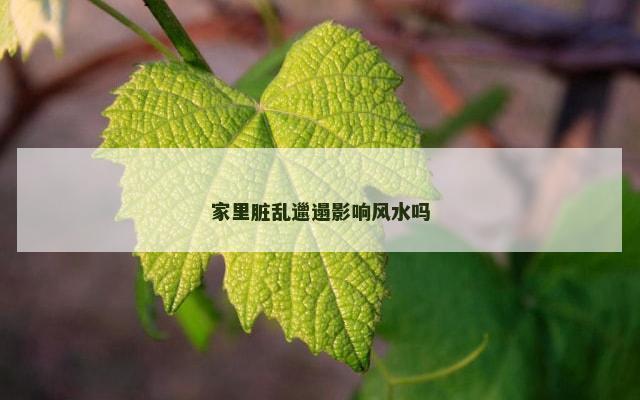 家里脏乱邋遢影响风水吗