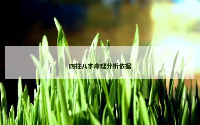 四柱八字命理分析依据