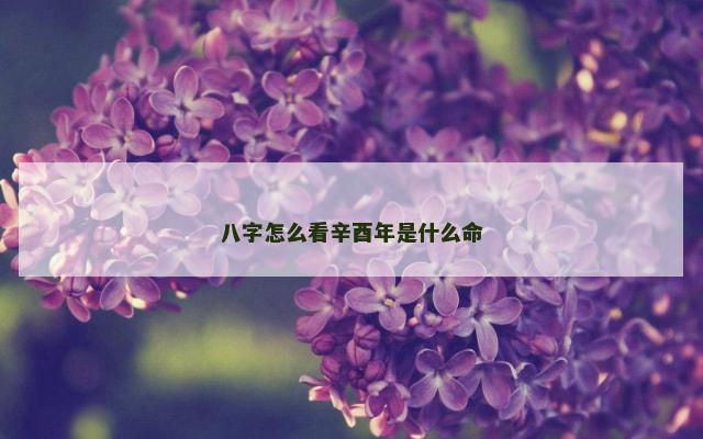 八字怎么看辛酉年是什么命